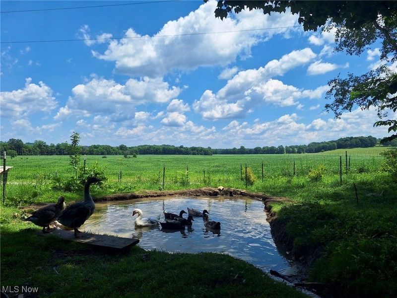 8087 Magnet Road NE, Minerva, OH 44657 Photo 22