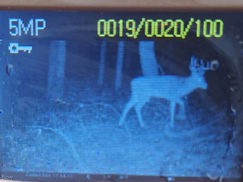 8087 Magnet Road NE, Minerva, OH 44657 Photo 23