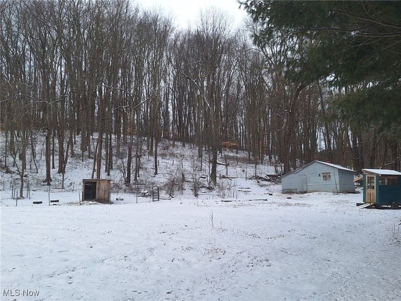 8087 Magnet Road NE, Minerva, OH 44657 Photo 4