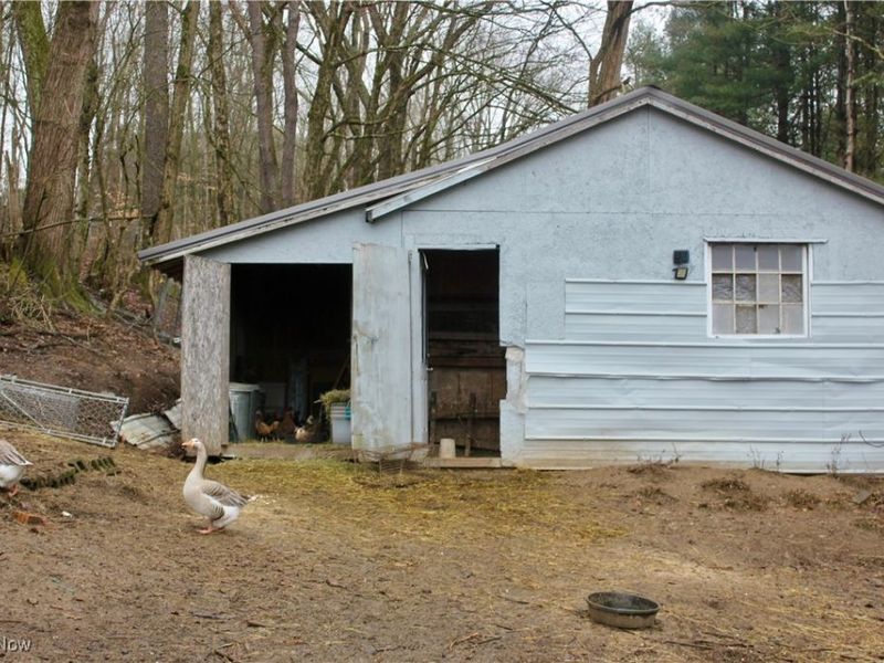 8087 Magnet Road NE, Minerva, OH 44657 Photo 6