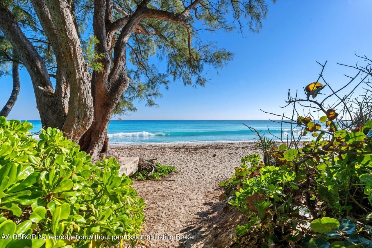 224 Sandpiper Drive, Palm Beach, FL 33480 Photo