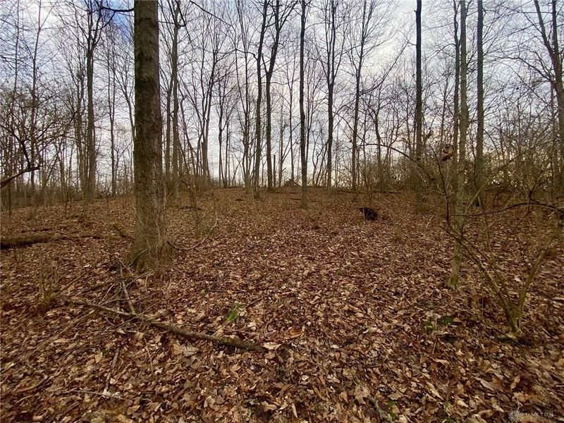 56 Sabina Road, Leesburg, OH 45135 Photo 10