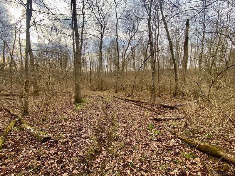 56 Sabina Road, Leesburg, OH 45135 Photo 11