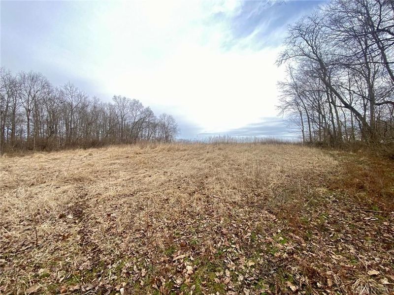 56 Sabina Road, Leesburg, OH 45135 Photo 19