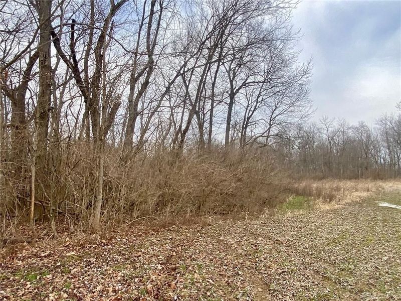 56 Sabina Road, Leesburg, OH 45135 Photo 5