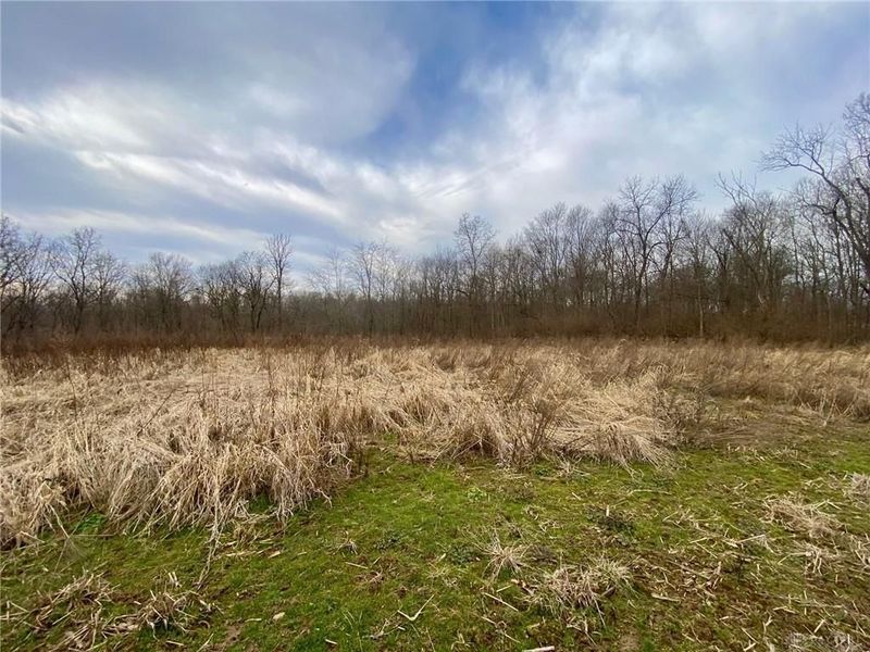 56 Sabina Road, Leesburg, OH 45135 Photo 6