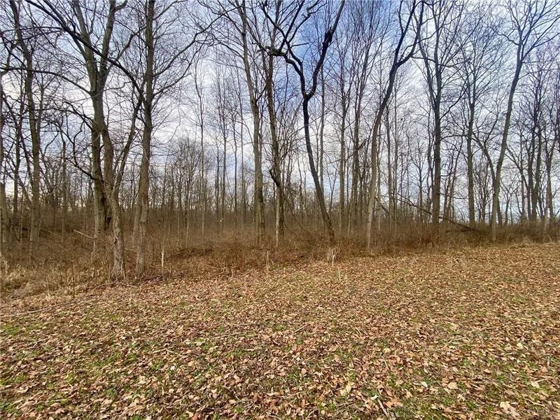 56 Sabina Road, Leesburg, OH 45135 Photo 7