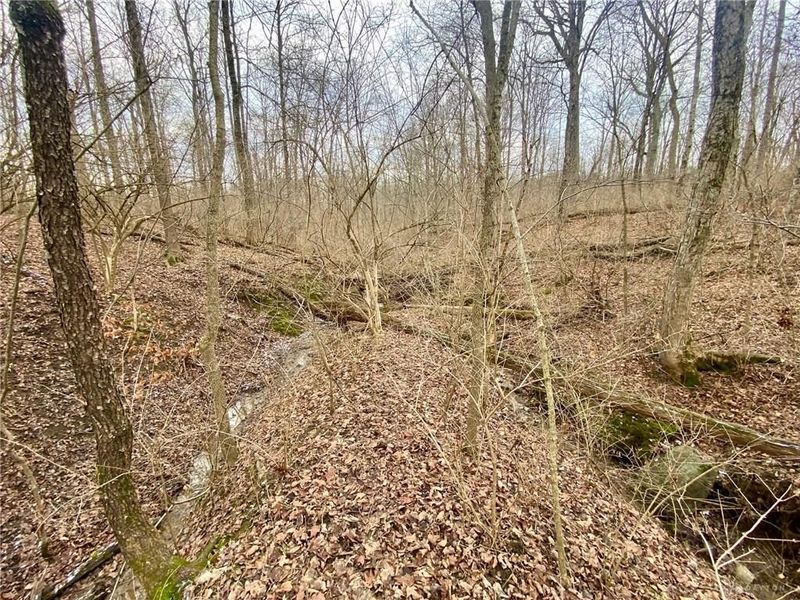 56 Sabina Road, Leesburg, OH 45135 Photo 9