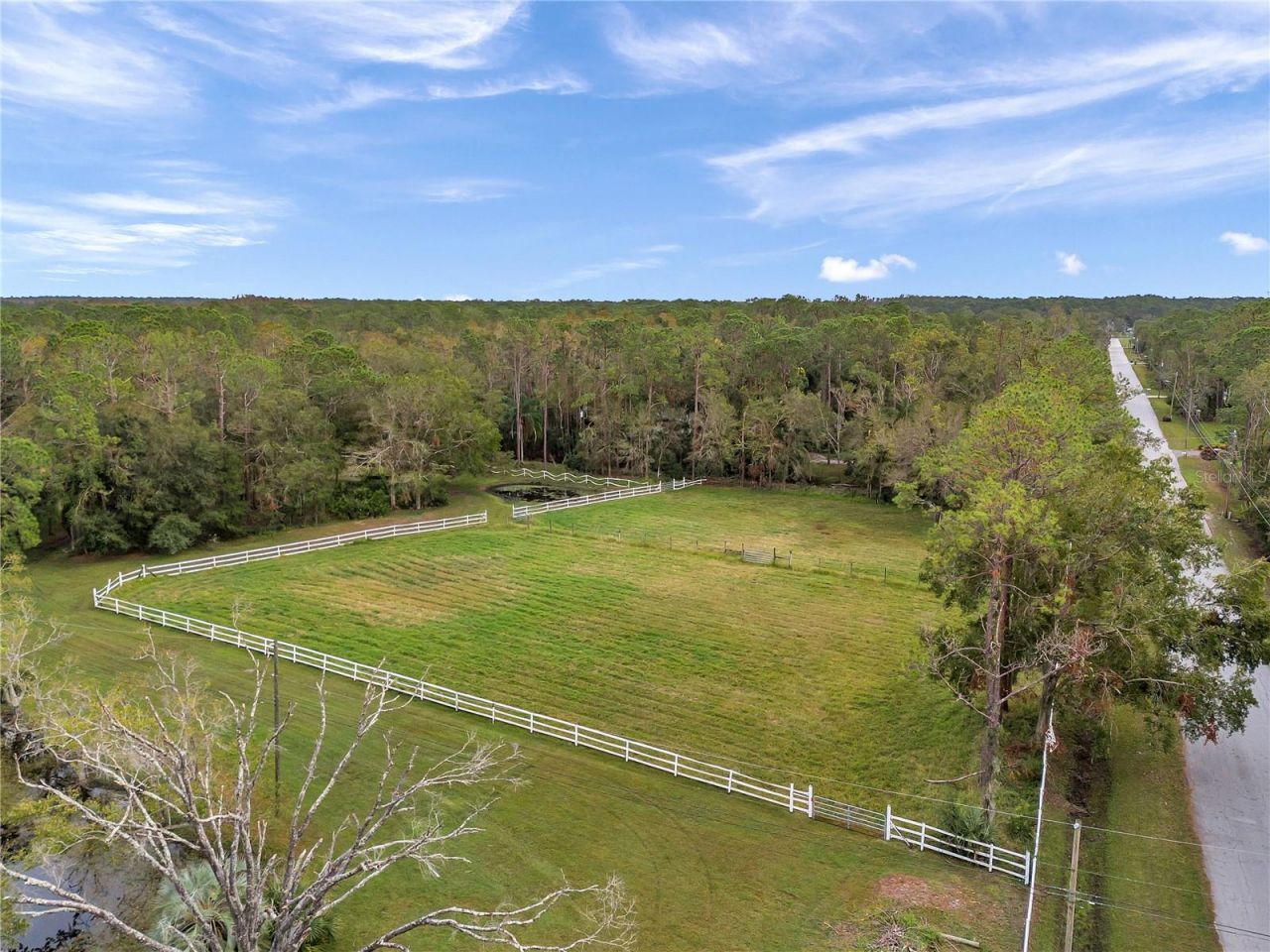 655 Appaloosa Road, Tarpon Springs, FL 34688 Photo