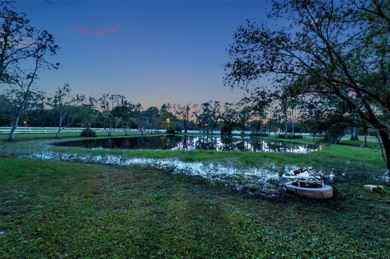 655 Appaloosa Road, Tarpon Springs, FL 34688 Photo