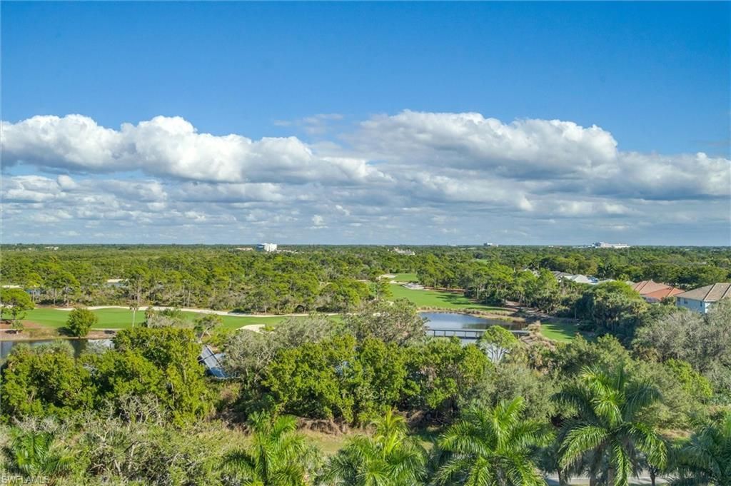 265 Indies Way, Unit 802, Naples, FL 34110 Photo
