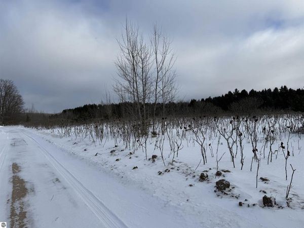 Houghton Lake Road W, Lake City, MI 49651