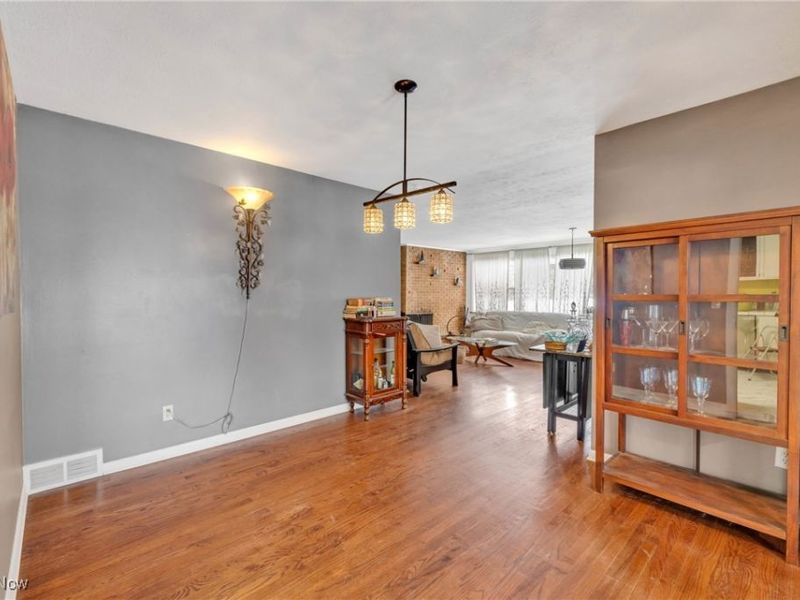 441 E College Street, Oberlin, OH 44074 Photo 16