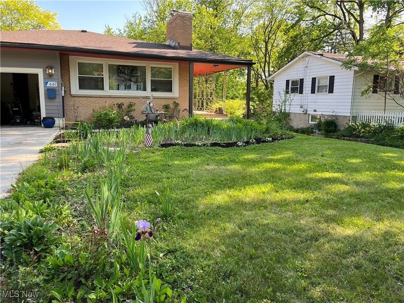 441 E College Street, Oberlin, OH 44074 Photo 3