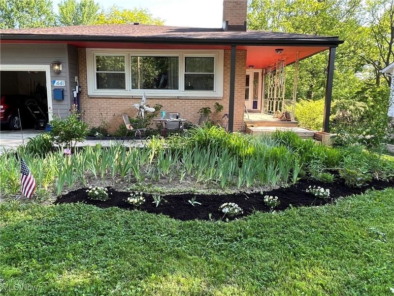 441 E College Street, Oberlin, OH 44074 Photo 4