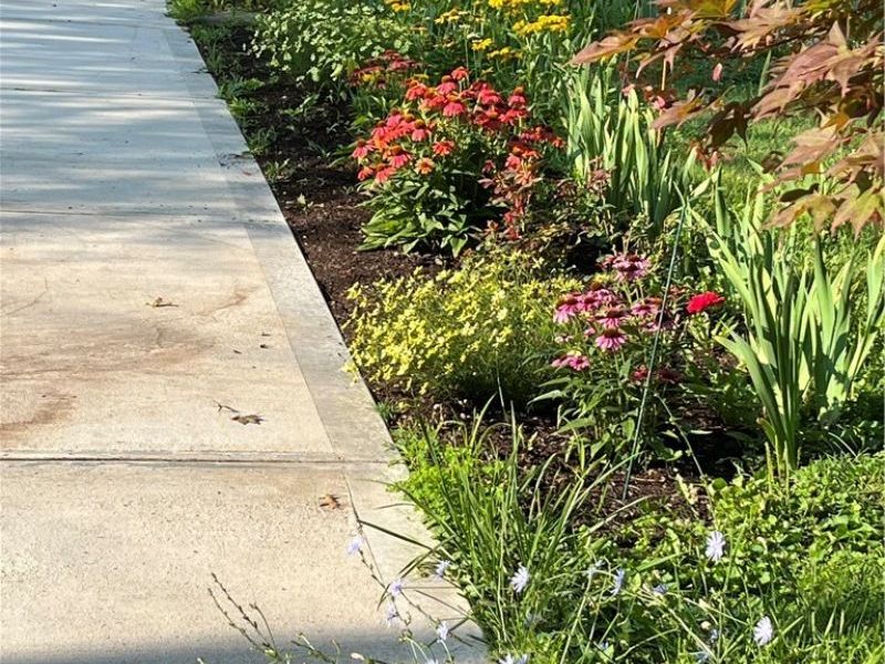 441 E College Street, Oberlin, OH 44074 Photo 7