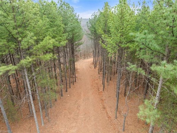 0 Doug Stanley Road, Sandy Ridge, NC 27046