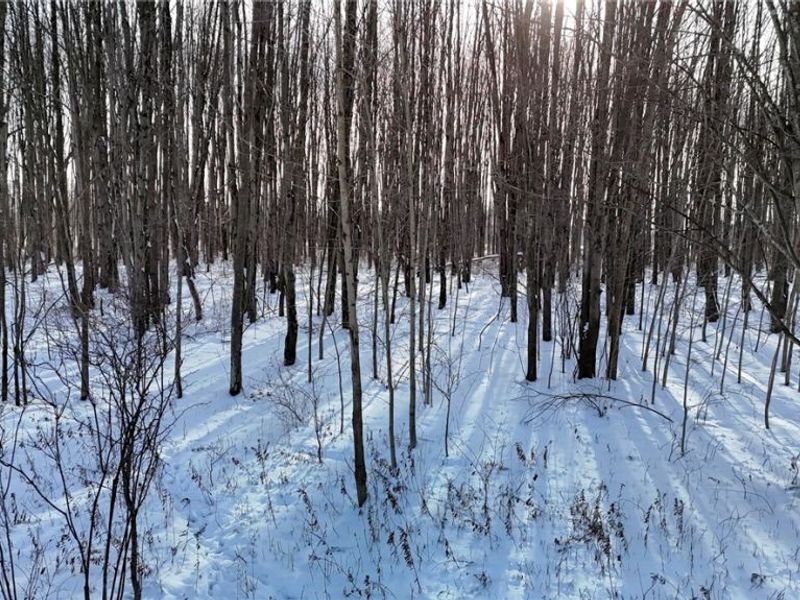 3522 Footville Richmond Road, Dorset, OH 44032 Photo 8