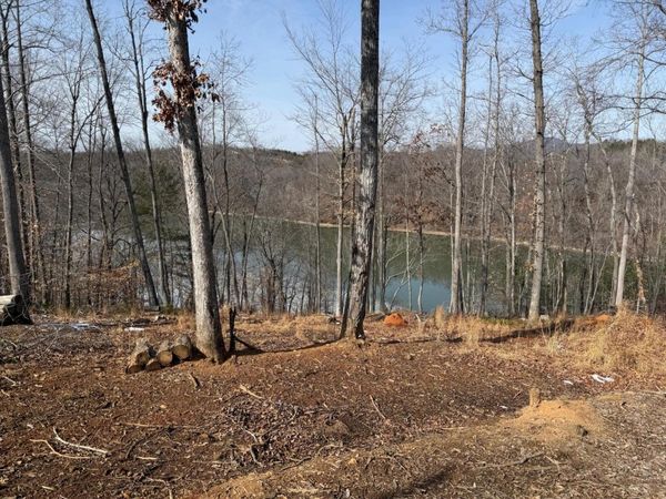 Lot 49 Pearl DR, Hardy, VA 24101
