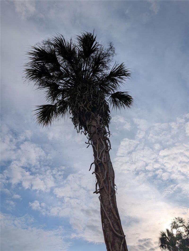 6031 Arlene Way, Bradenton, FL 34207 Photo