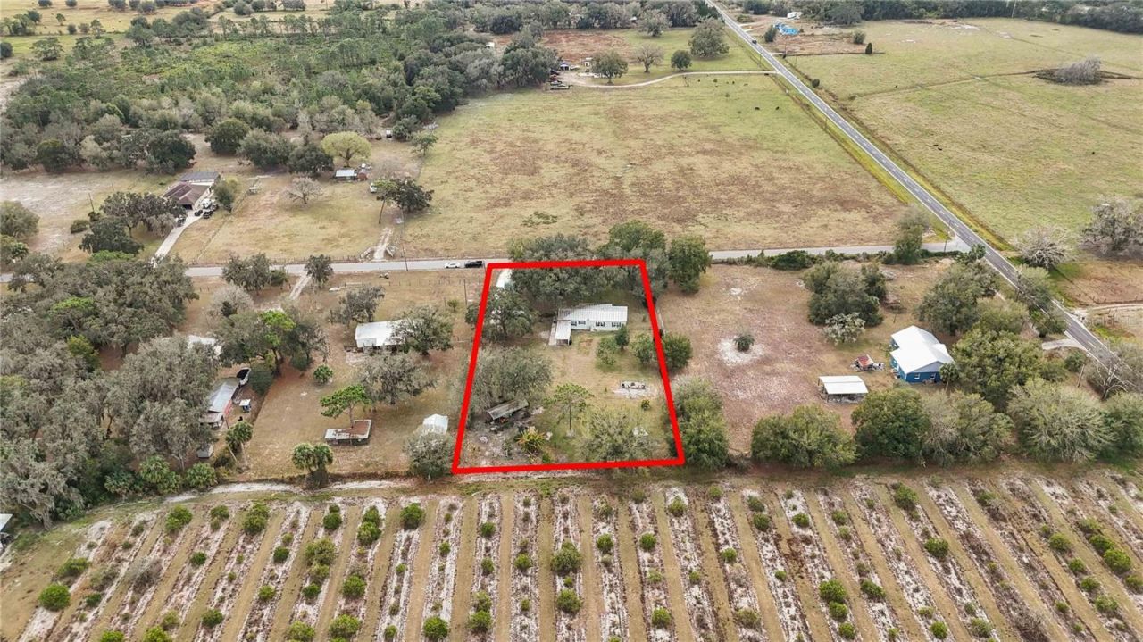 1232 Harvey Road, Kenansville, FL 34739 Photo