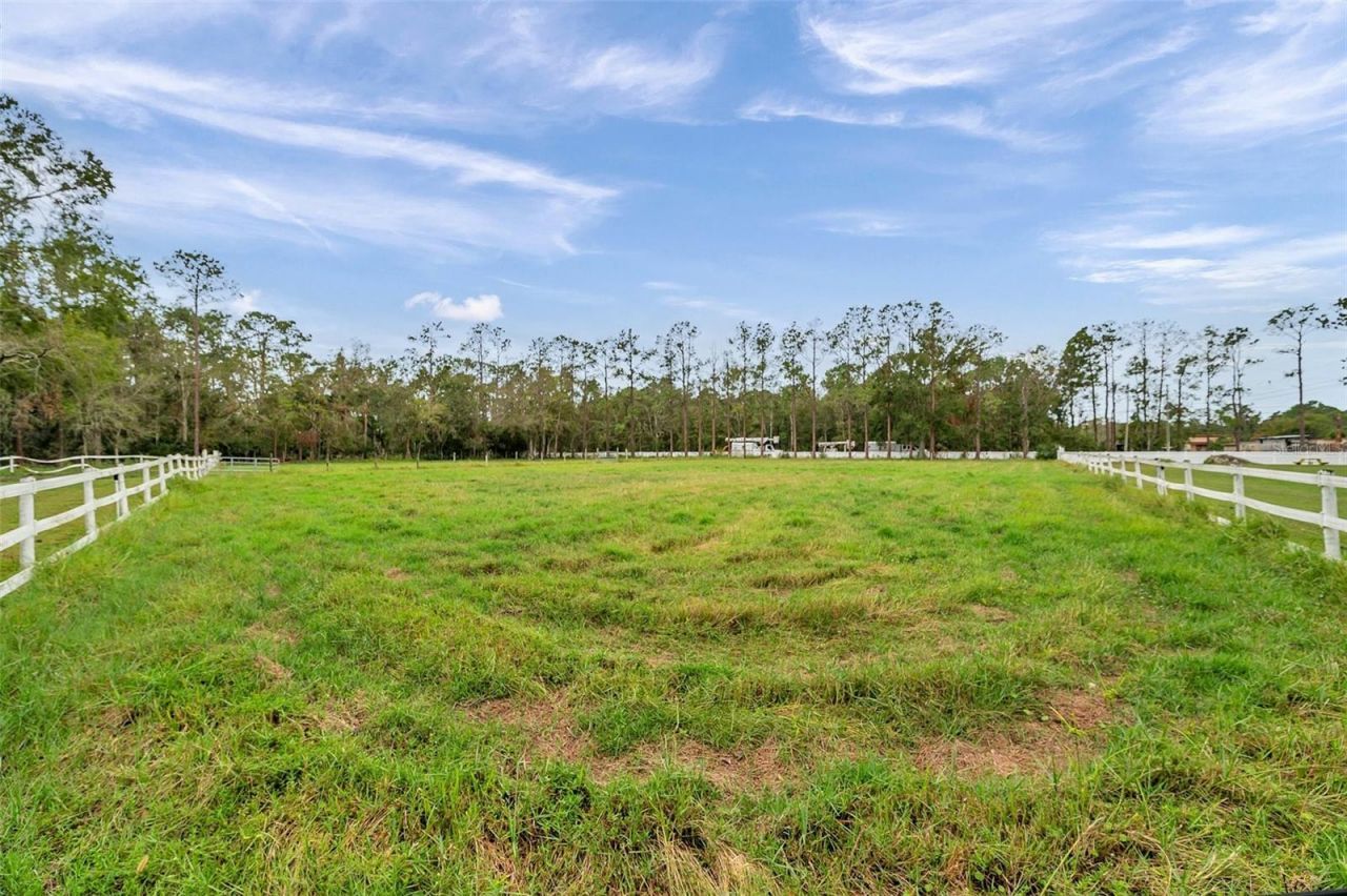 655 Appaloosa Road, Tarpon Springs, FL 34688 Photo