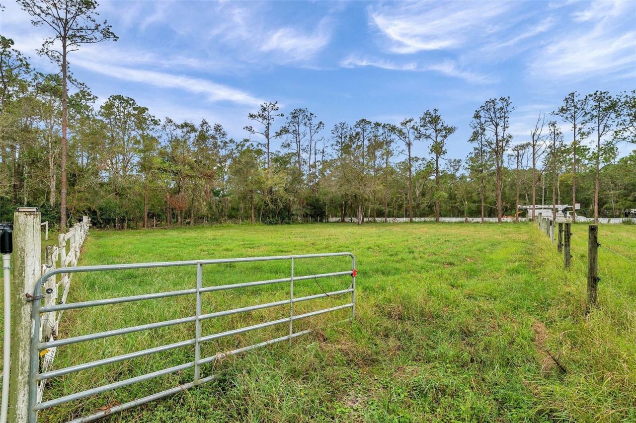 655 Appaloosa Road, Tarpon Springs, FL 34688 Photo