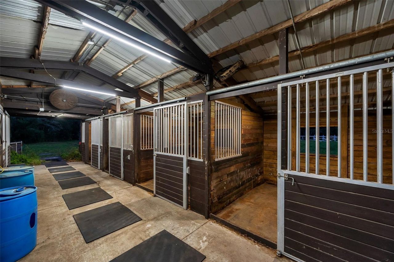 655 Appaloosa Road, Tarpon Springs, FL 34688 Photo