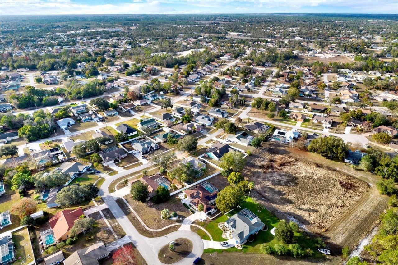 6118 Nardello Avenue, Spring Hill, FL 34608 Photo