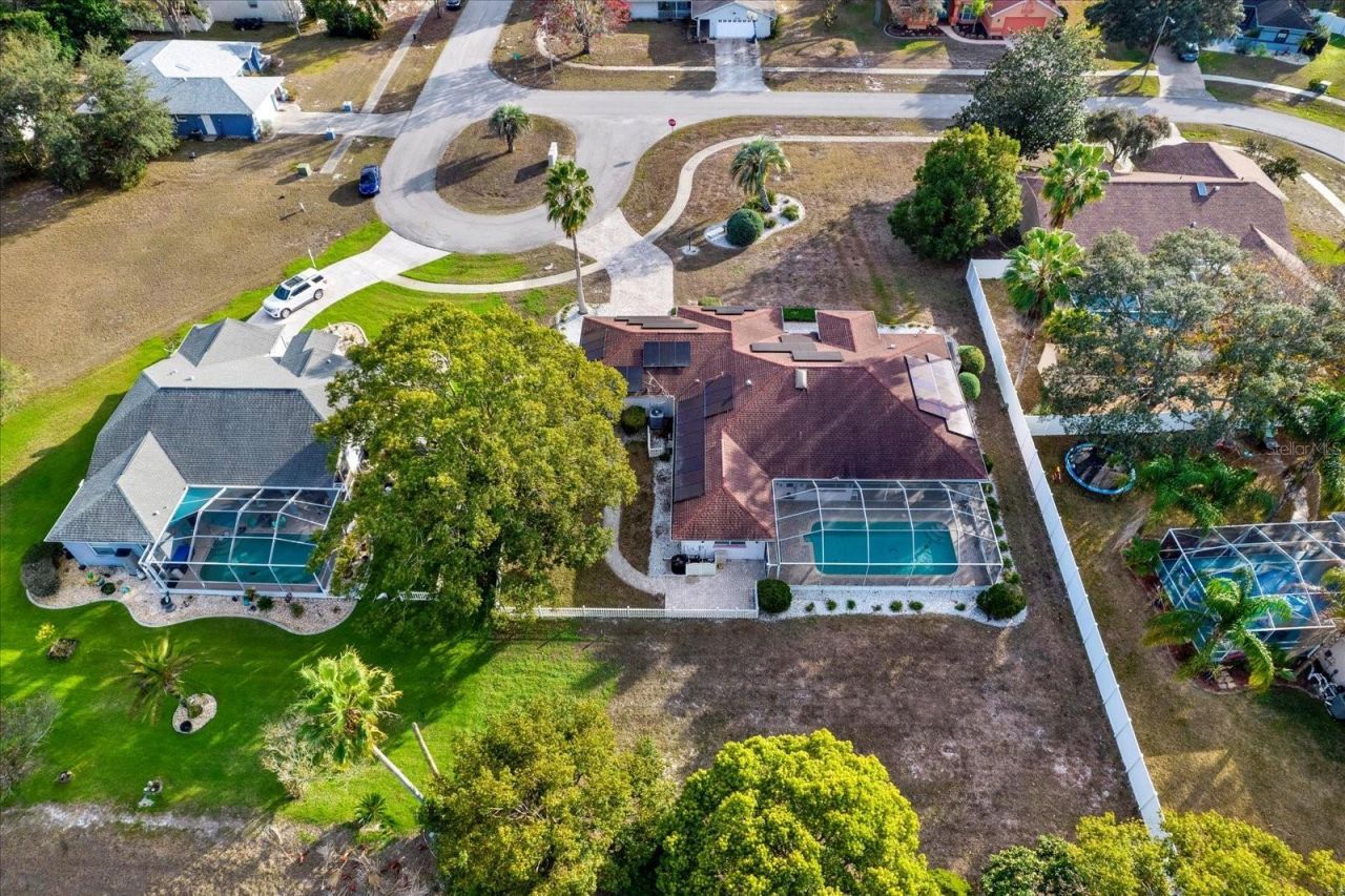 6118 Nardello Avenue, Spring Hill, FL 34608 Photo