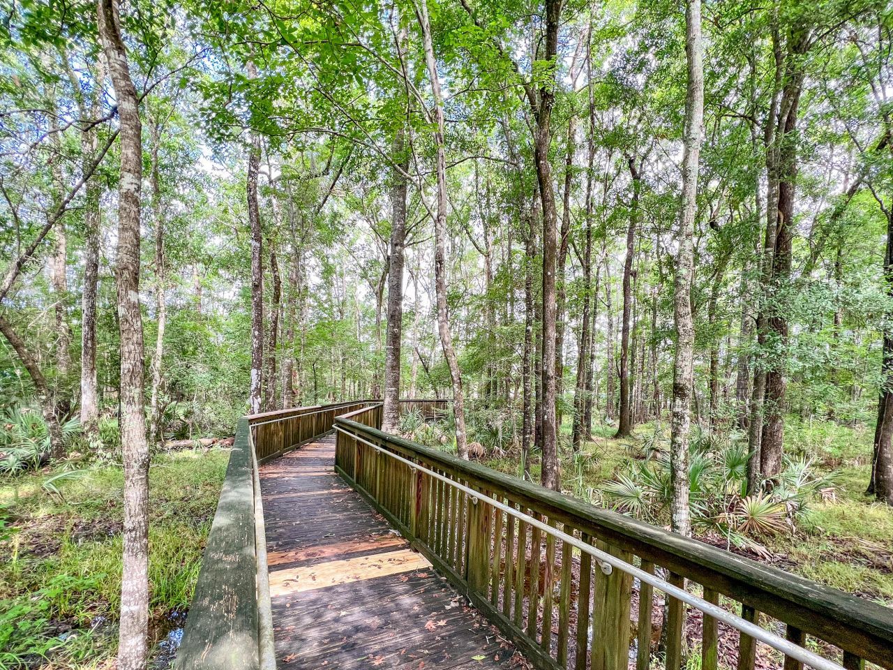 190 Barons Drive Photo 107