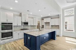 1008 Gold Dew Way photo 4