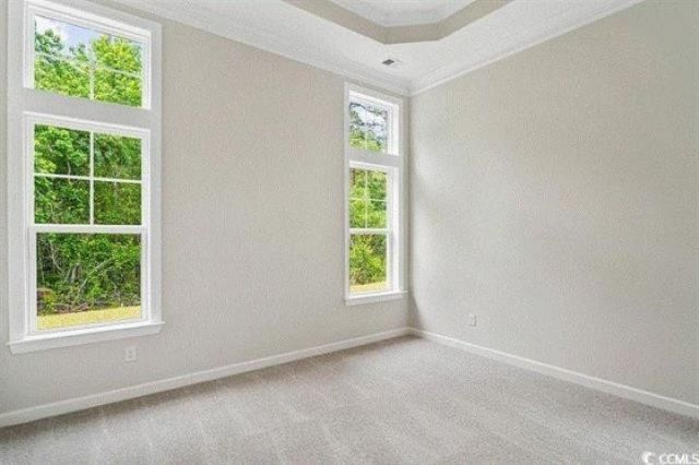 1008 Gold Dew Way Photo 7