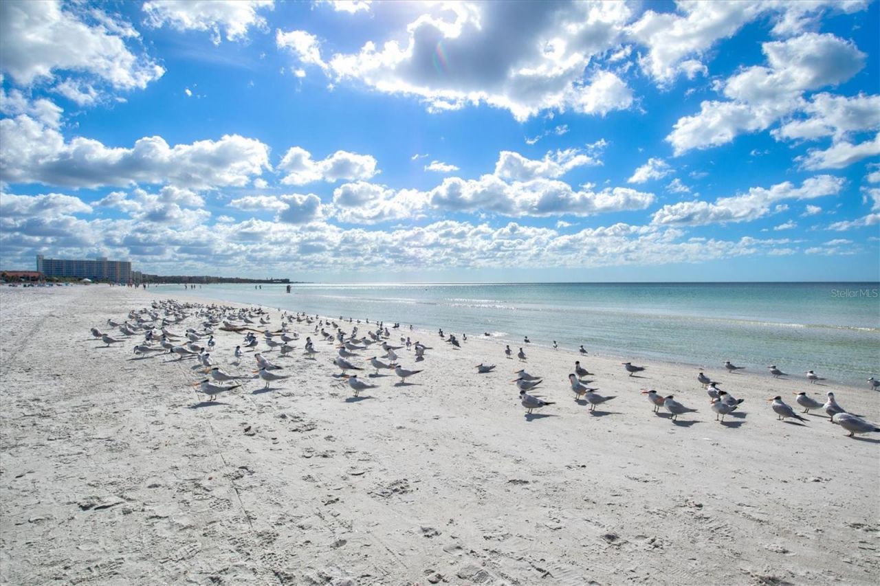 6006 Midnight Pass Road, Unit 44, Sarasota, FL 34242 Photo