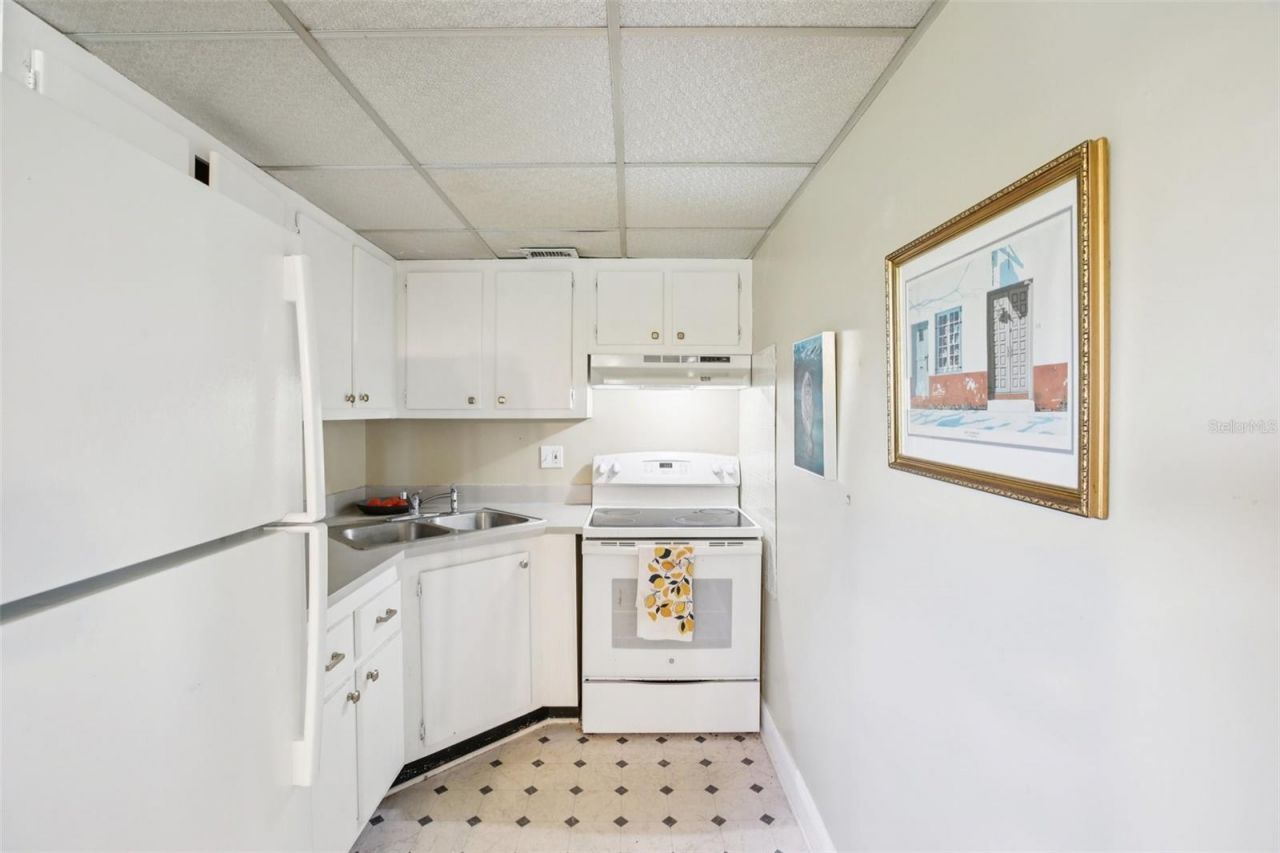209 NE Lincoln Circle N, Unit 309, Saint Petersburg, FL 33702 Photo