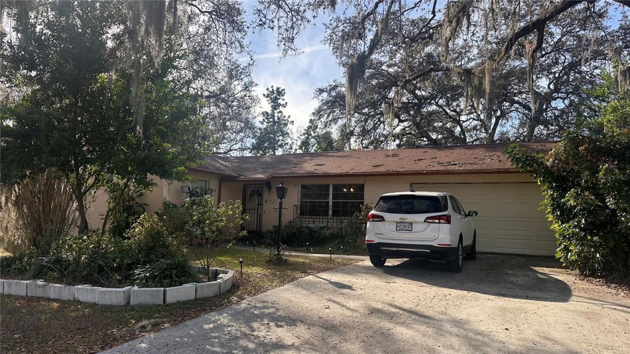 7012 Doreen Street, Tampa, FL 33617 Main Photo