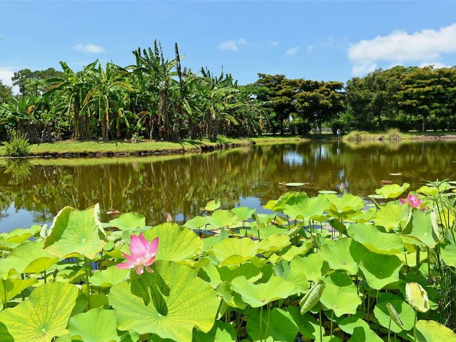 Property Image 60