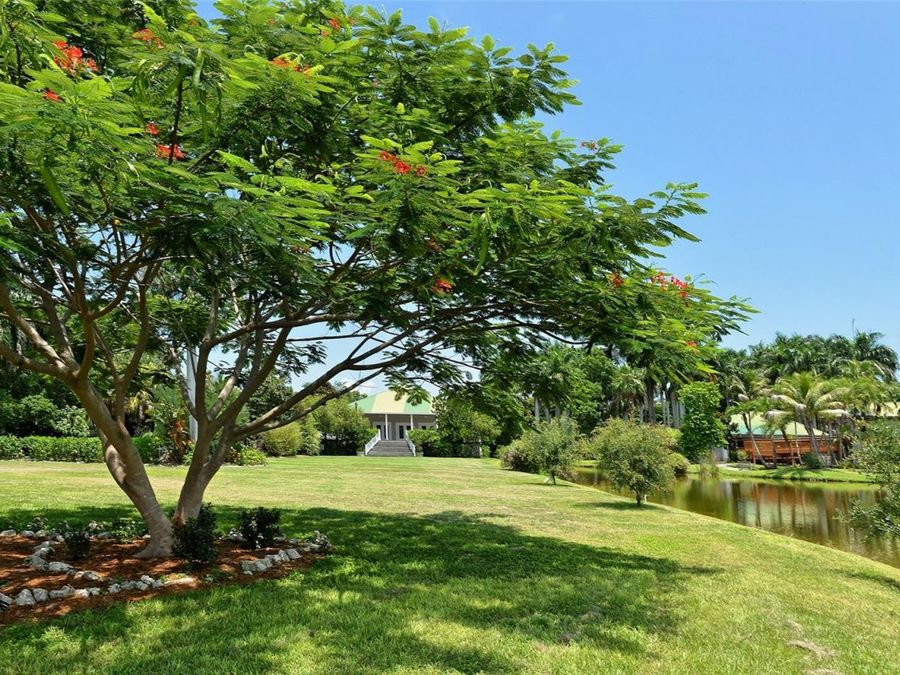 Property Image 62
