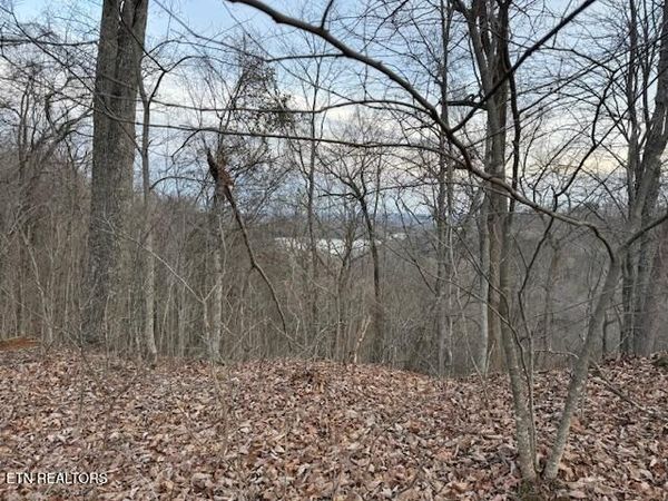 971 Scenic River Rd, Madisonville, TN 37354