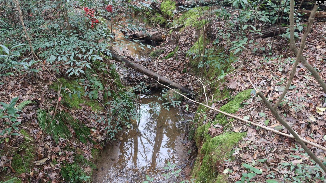 291 Big Timber Drive  Photo 10