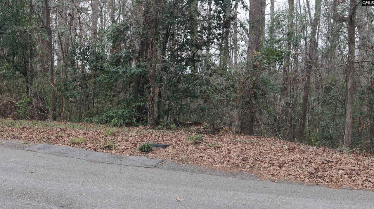 291 Big Timber Drive  Photo 12