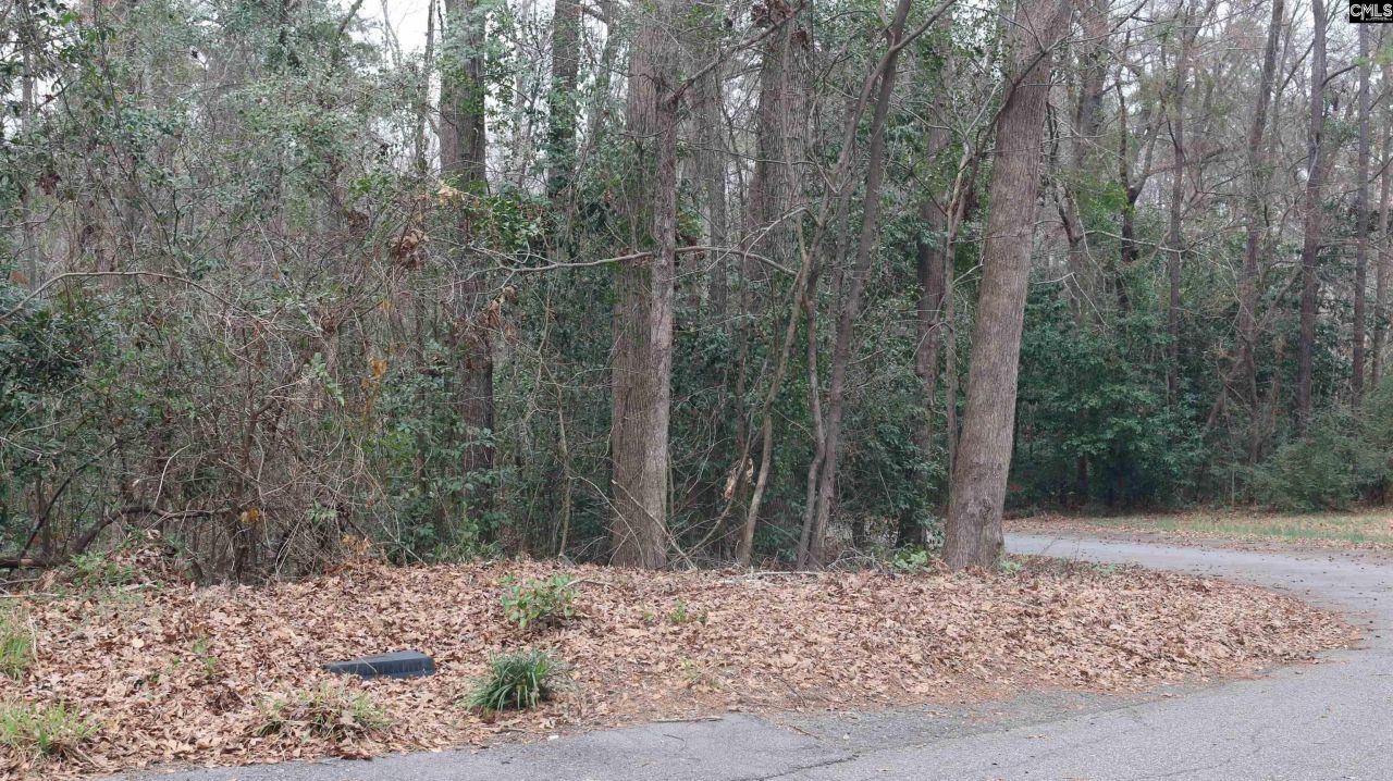 291 Big Timber Drive  Photo 13