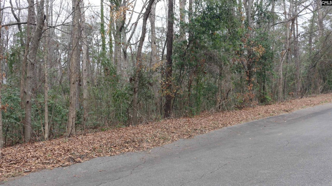 291 Big Timber Drive  Photo 14