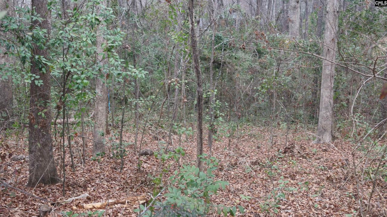 291 Big Timber Drive  Photo 15