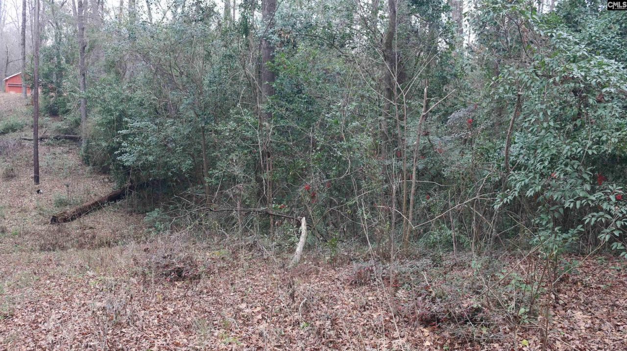 291 Big Timber Drive  Photo 16