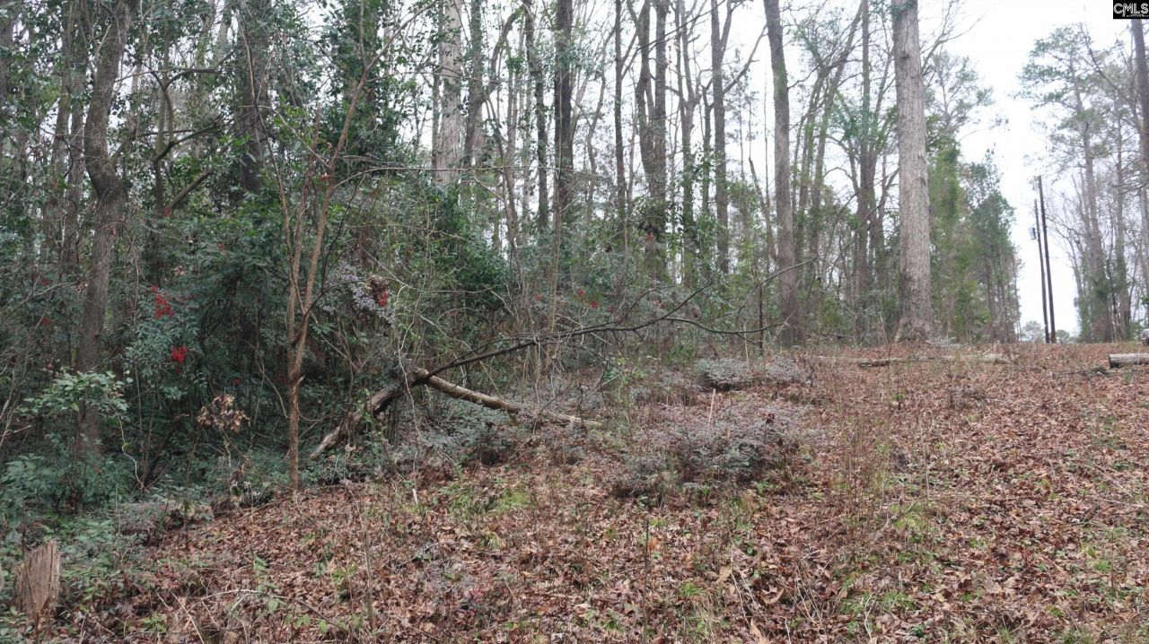 291 Big Timber Drive  Photo 5