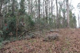 291 Big Timber Drive  photo 4