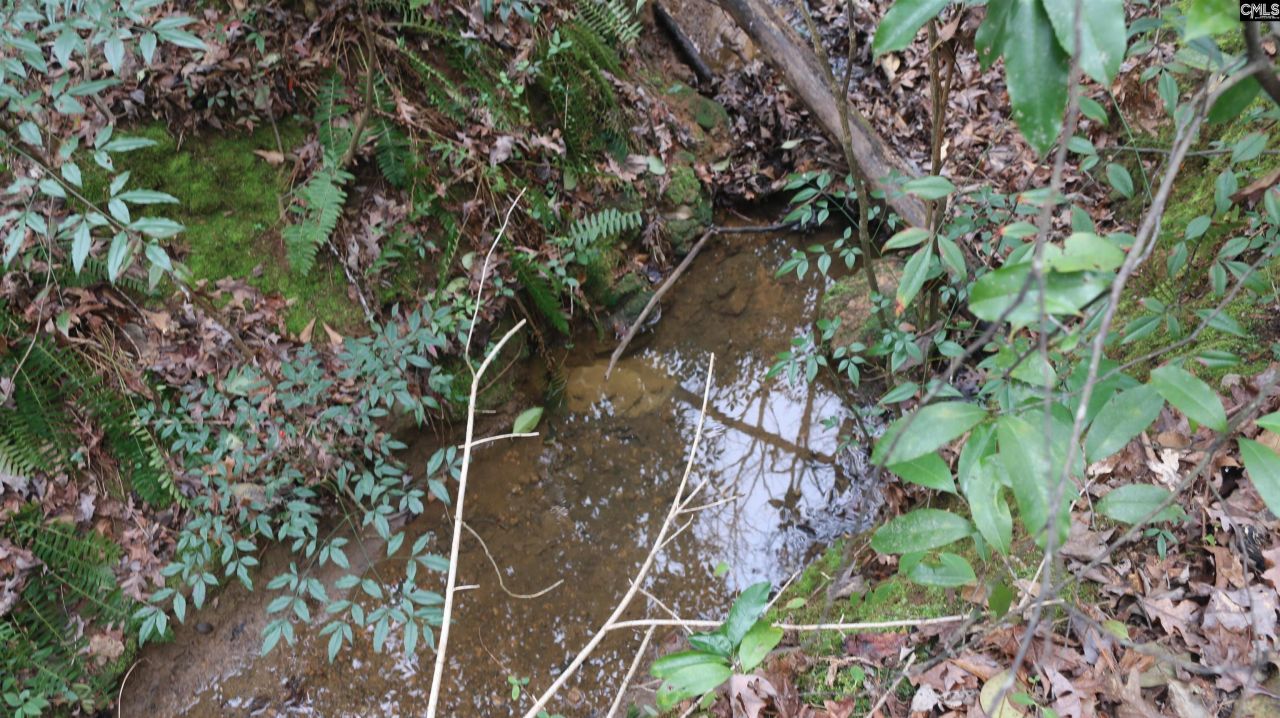 291 Big Timber Drive  Photo 6