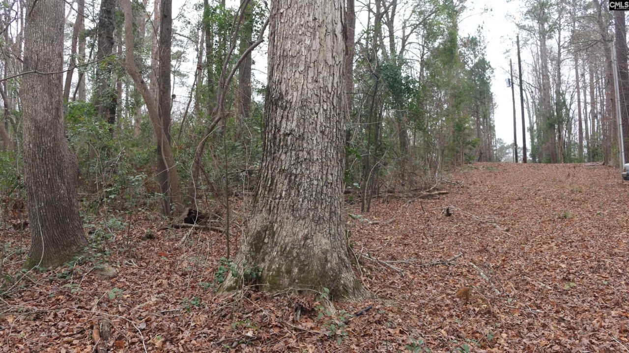 291 Big Timber Drive  Photo 8