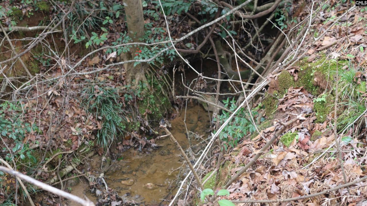 291 Big Timber Drive  Photo 9